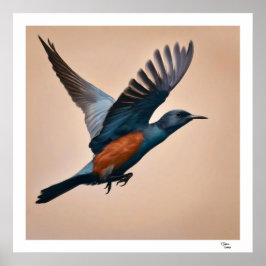 Póster Bird