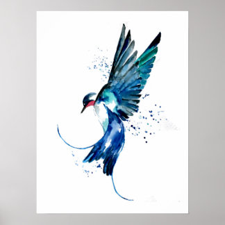 Póster Bird Blue Swallow