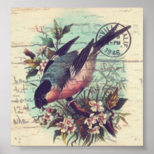 Póster Bird Digital Art