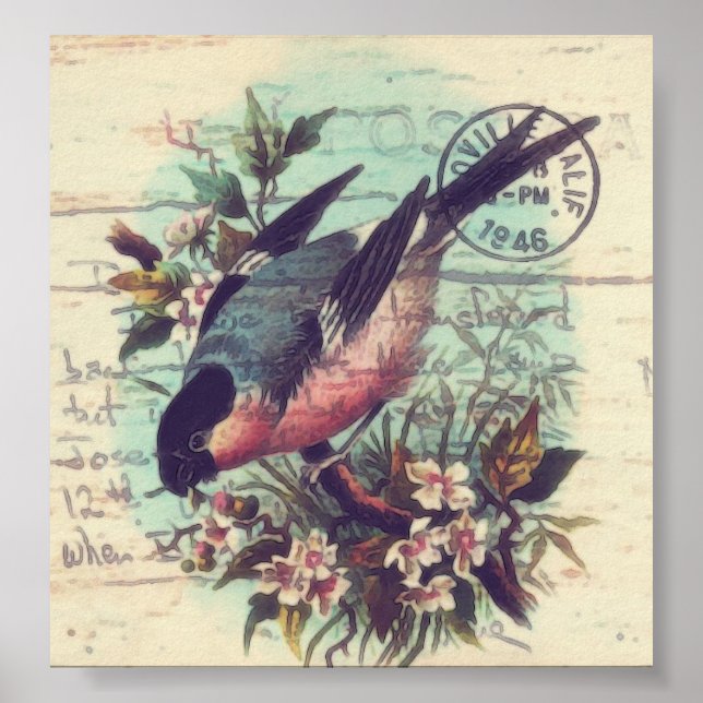 Póster Bird Digital Art (Frente)
