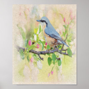 Póster Bird Fanatic