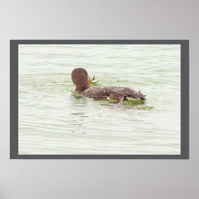 Póster Bird Fishing in Ocean Poster (Frente)