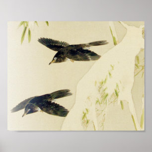 Póster Bird in Snow Scene, Watanabe Seitei