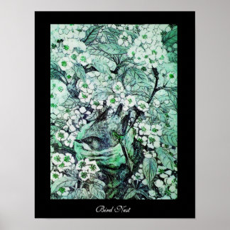 Póster BIRD NEST, negro verde blanco