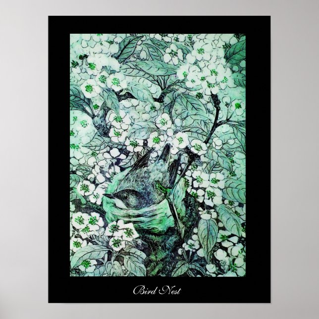 Póster BIRD NEST, negro verde blanco (Frente)