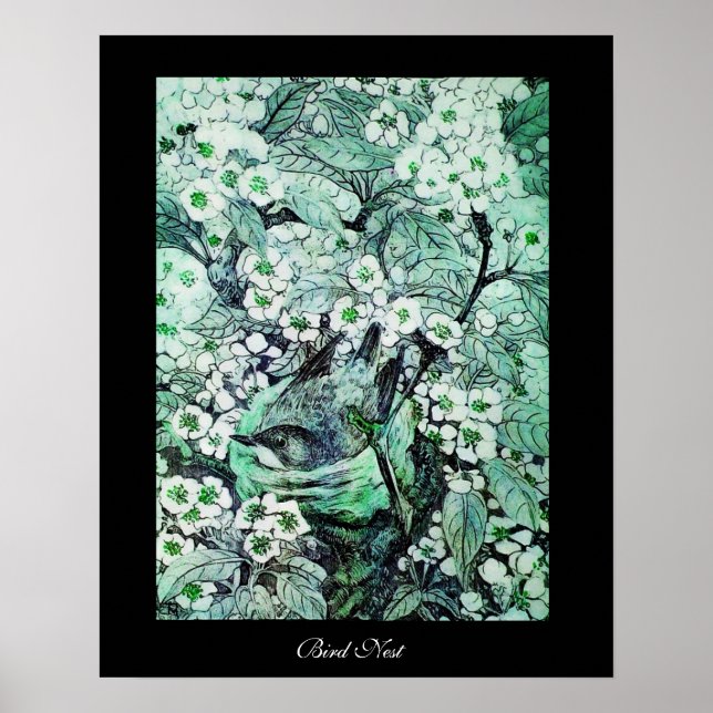 Póster BIRD NEST, negro verde blanco (Frente)