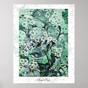 Póster BIRD NEST, verde blanco