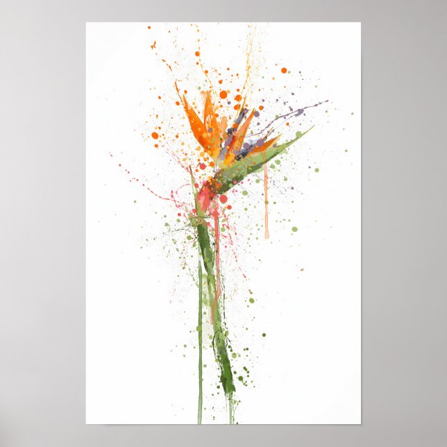 Póster Bird of Paradise (Frente)