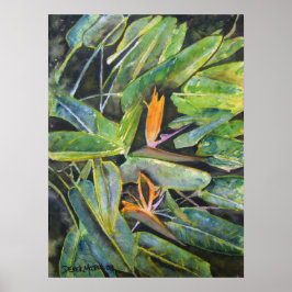 Póster bird_of_paradise_2