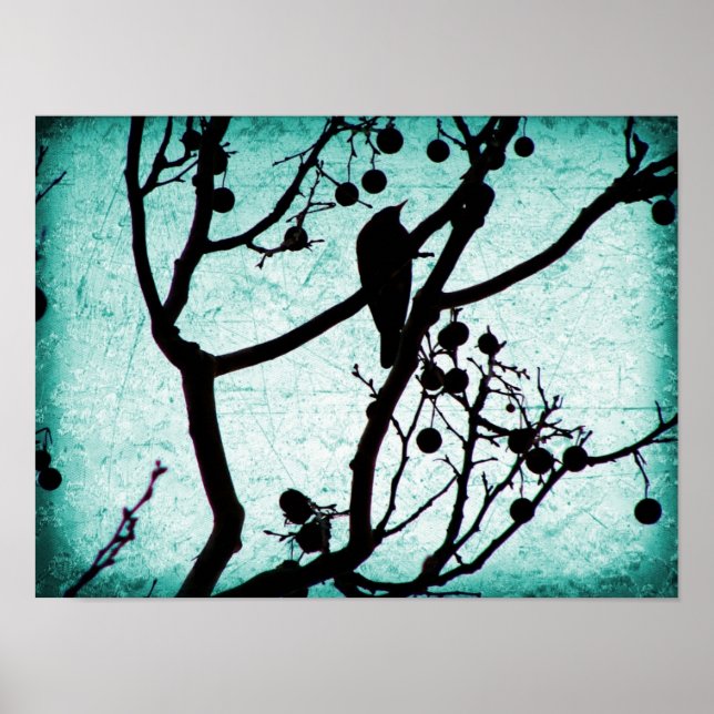 Póster Birdie (Frente)