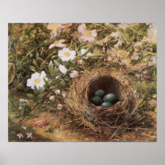 Póster Bird's Nest and Dog Roses by John William Hill