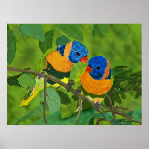 Póster Birds Of Paradise