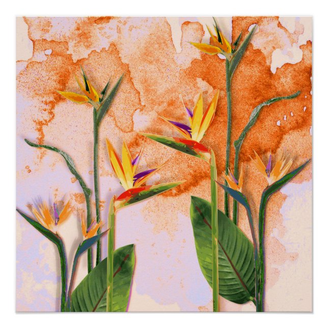 Póster Birds of Paradise in Bloom (Anverso)