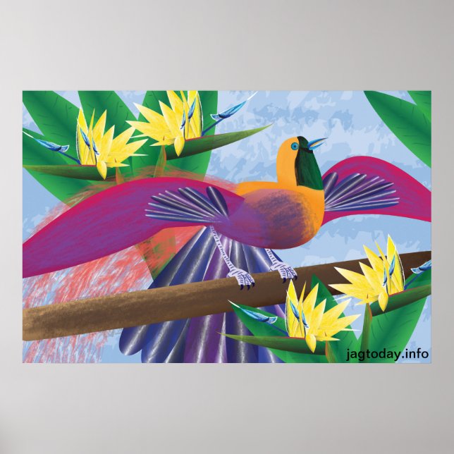Póster Birds of Paradise Poster (Frente)