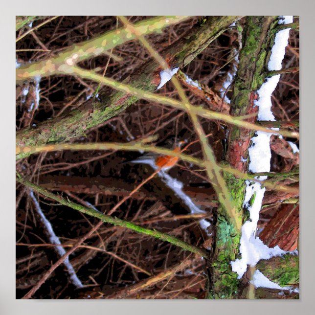 Póster Birds Shelter CB (Frente)