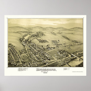 Póster Birdsboro, Mapa Panorámico de la Autoridad Palesti