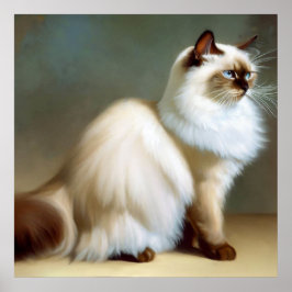Póster Birman Cat