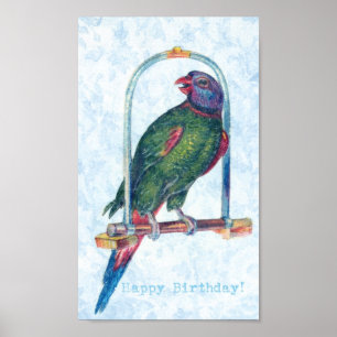 Póster Birthday Parrot