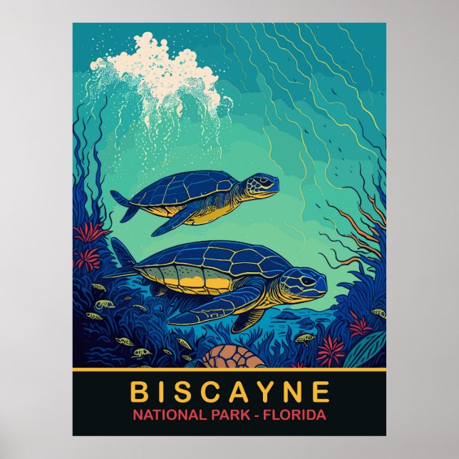 Póster Biscayne, Tortugas Subacuáticas, Floraida, Viaje (Frente)