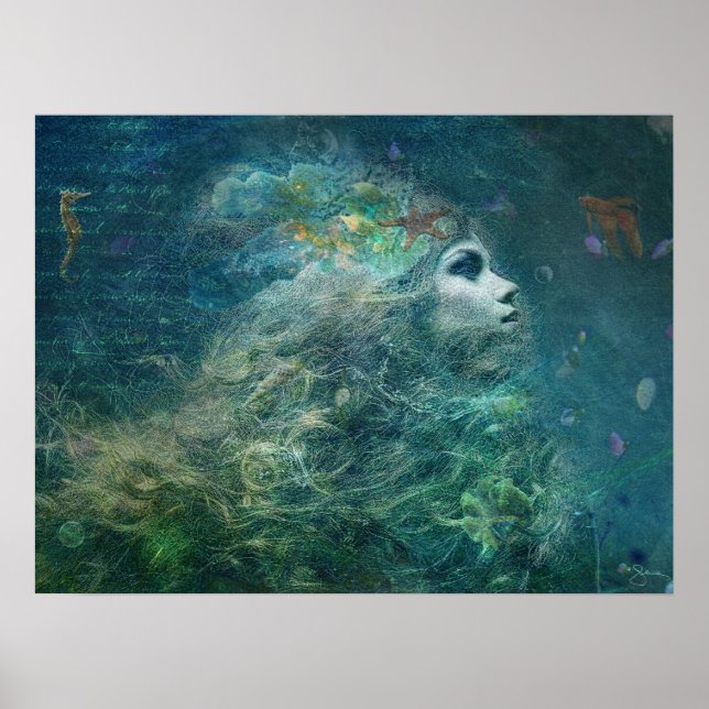 Póster Biscuit marino (Frente)