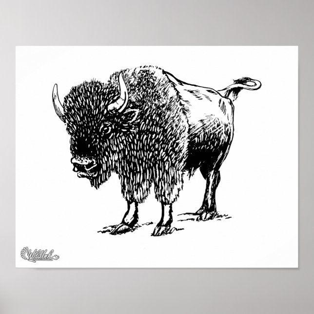 Póster Bison (Frente)