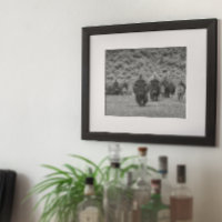 Bison Black Cabin Farmhouse Estilo moderno