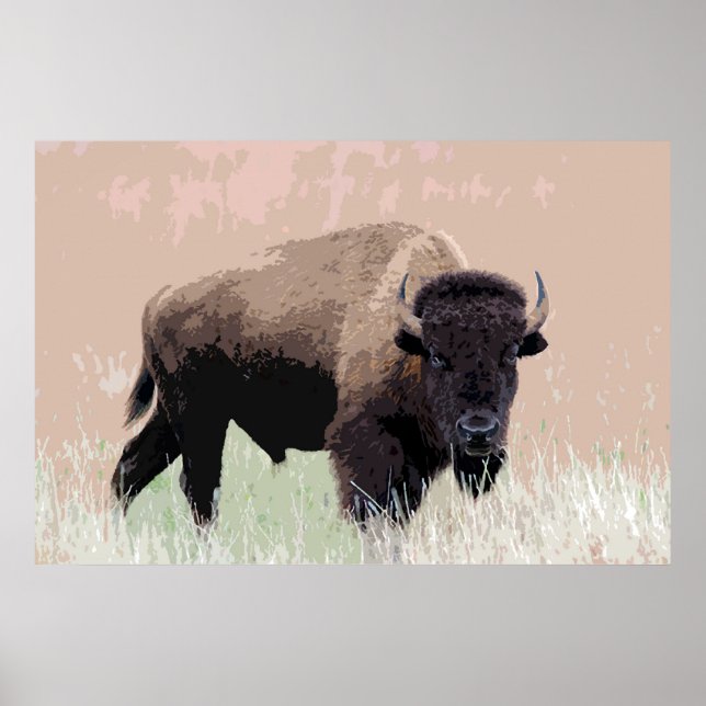 Póster Bison Buffalo American Artwork (Frente)