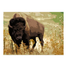 Bison Buffalo American Pop Art