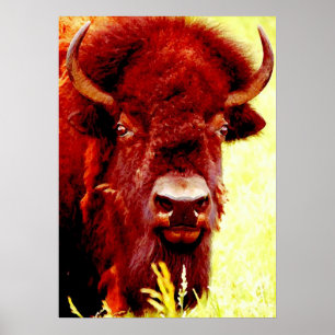 Póster Bison Buffalo Head American Artwork