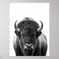 Bison Buffalo Retrato moderno blanco negro