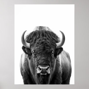 Póster Bison Buffalo Retrato moderno blanco negro