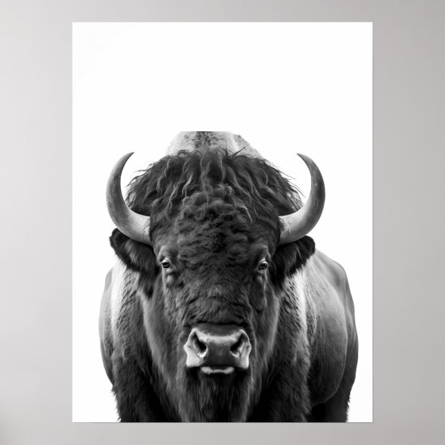 Póster Bison Buffalo Retrato moderno blanco negro (Frente)