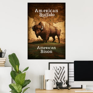 Póster Bison estadounidense en un mapa