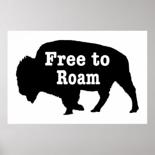 Póster Bison Free To Roam