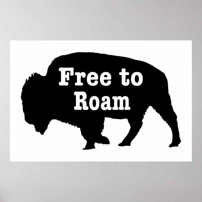 Póster Bison Free To Roam (Frente)