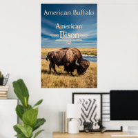 Bison Grazing by the River