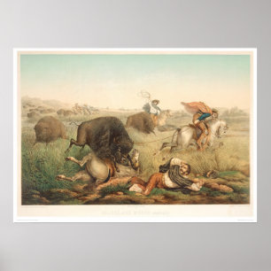Póster Bison Hunt (0008A)