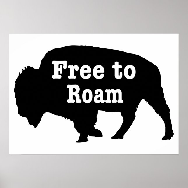 Póster Bison Libre para Vagar (Frente)