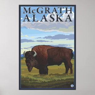 Póster Bison Scene - McGrath, Alaska