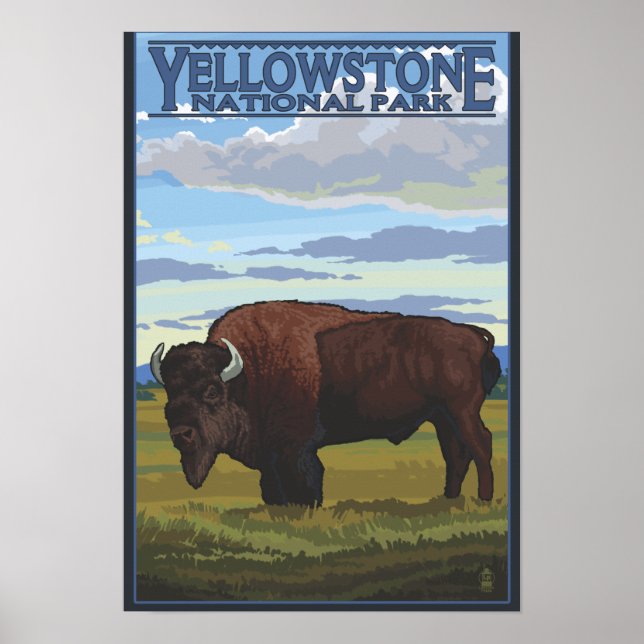 Póster Bison Scene - Parque nacional Yellowstone (Frente)