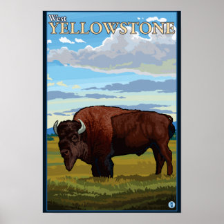 Póster Bison Scene - West Yellowstone, Montana