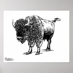 Póster Bisonte