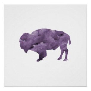 Póster Bisonte
