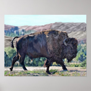Póster Bisonte Americano Bison