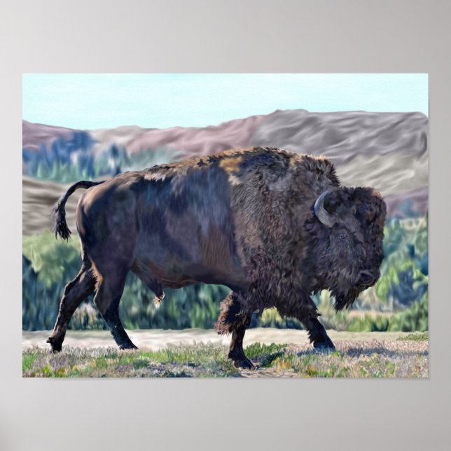 Póster Bisonte Americano Bison (Frente)