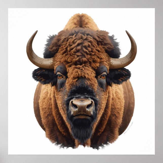 Póster Bisonte / Búfalo (Frente)