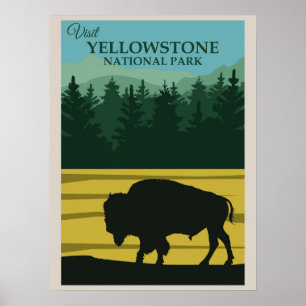 Póster Bisonte Búfalo Antiguo Parque Nacional Yellowstone