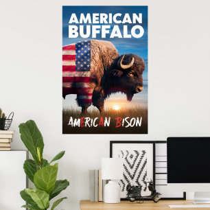 Póster Bisonte estadounidense en un campo