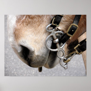 Póster bit de conducción