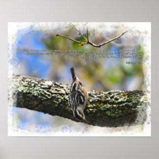 Póster Bitd in tree Sojourner Cita